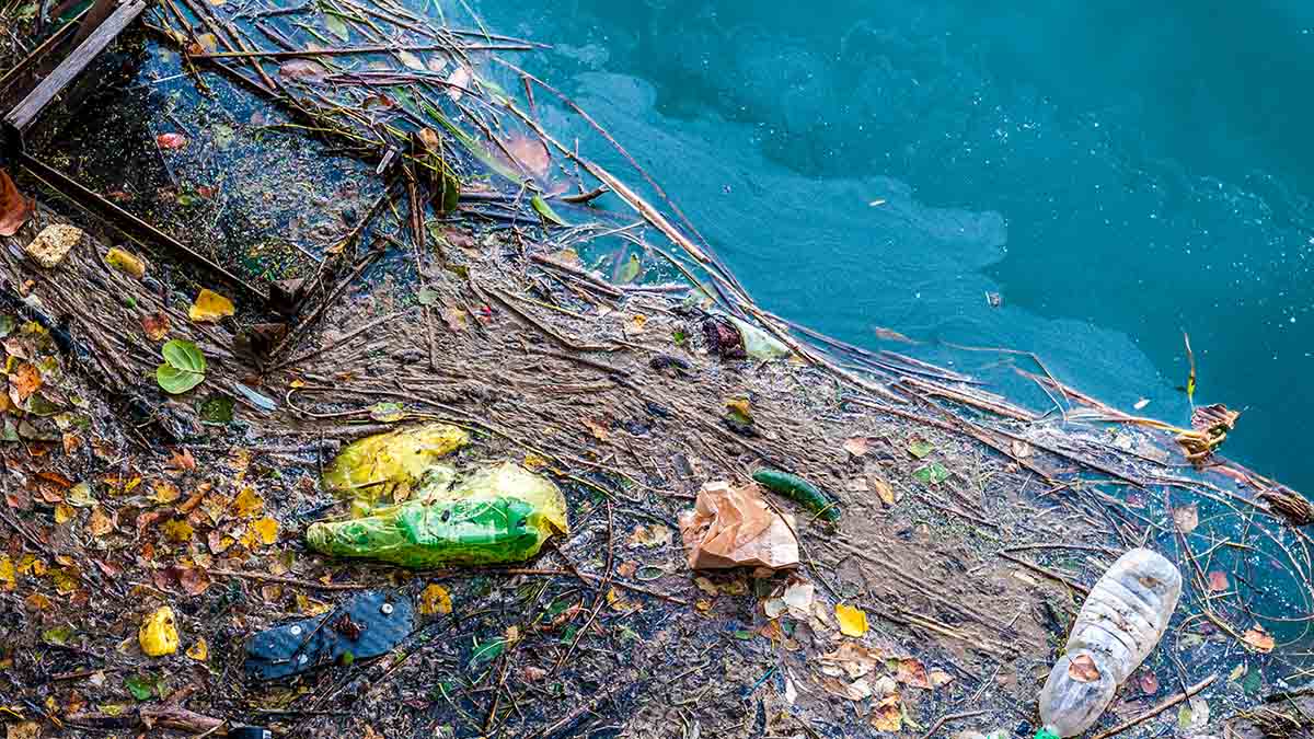 Blick von oben auf eine Insel von Plastikmüll, die zusammen mit Holz und Blättern im Meer treibt