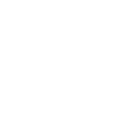 Icon eines Diamanten: Investieren mit Fokus auf Dividenden und Dividendenaktien (sogenannte Dividenden Perlen)