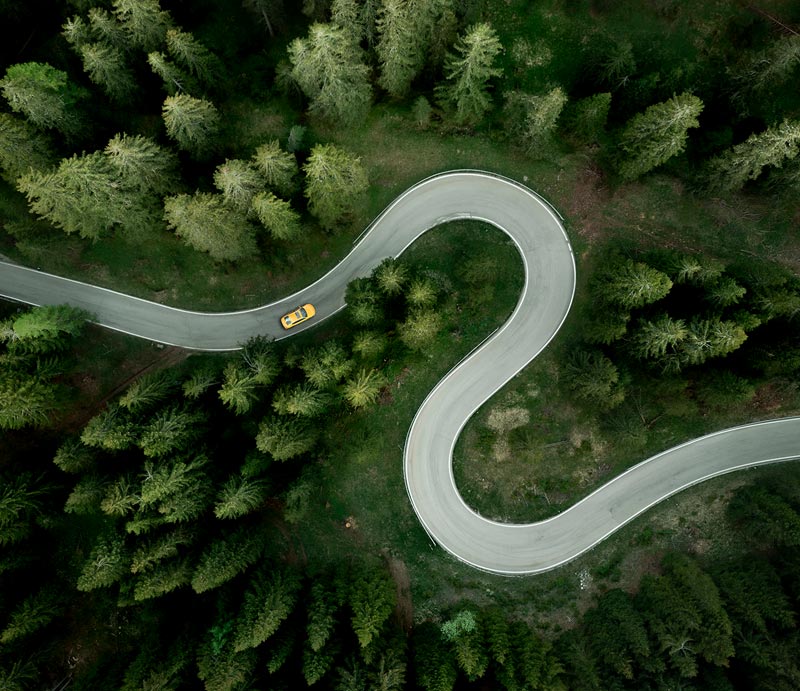 About Vontobel: A forest road symbolizes the journey of investing