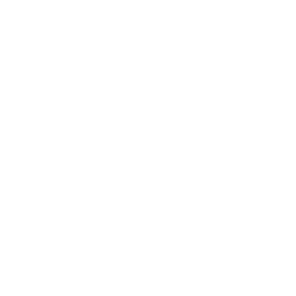 Icon of an airplane