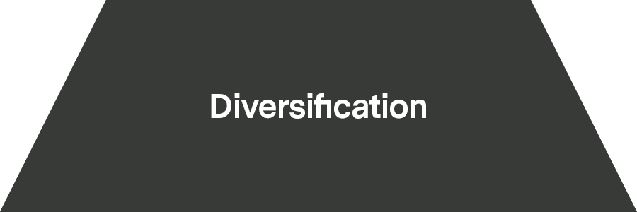 Fundament der 3-teiligen Alpha-Investing-Pyramide: Auf Schwarz steht «Diversification» (Diversifizierung) geschrieben