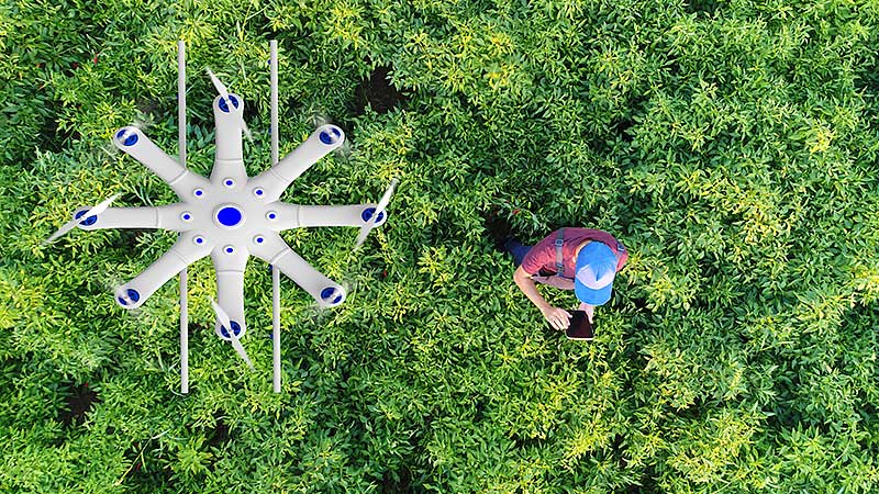 L'agriculture intelligente comme thème d'investissement: un drone vole au-dessus d'un champ verdoyant. Il est dirigé par un paysan qui se trouve dans le champ avec un smartphone.